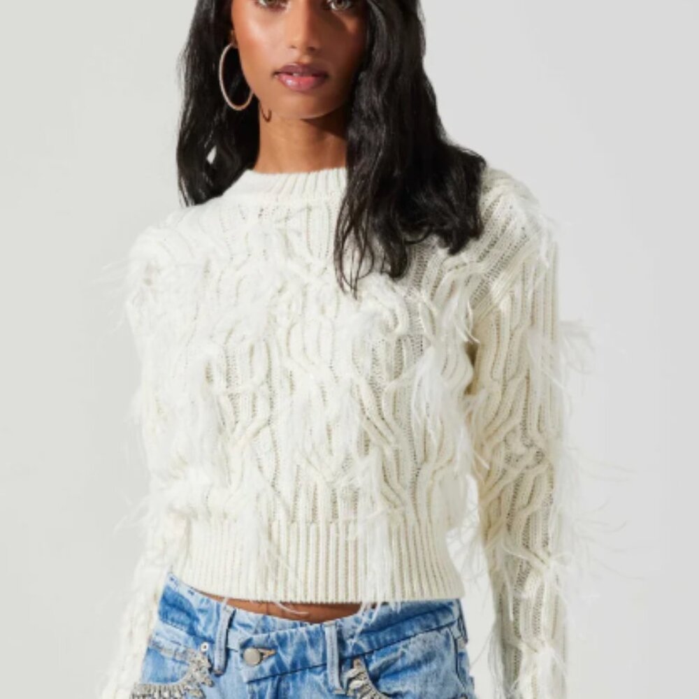 ASTR the Label Almeida Feather Cable Sweater